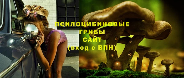 а пвп мука Новозыбков