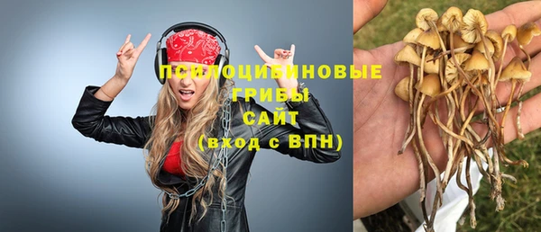 соль ск Аркадак