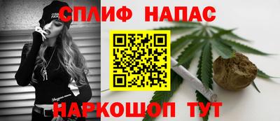 мдпв Гай