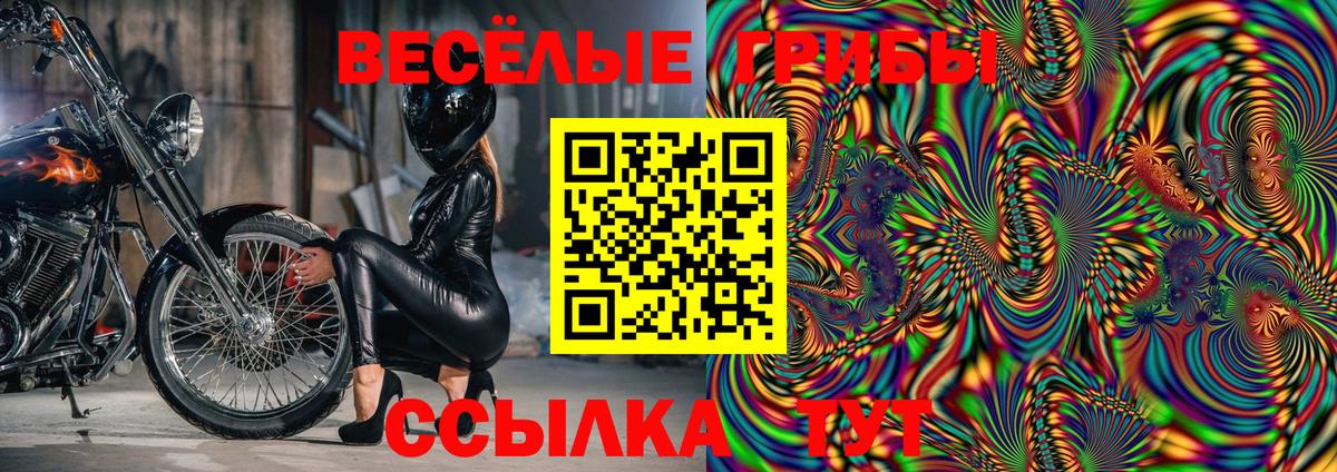 Псилоцибиновые грибы Magic Shrooms  Черногорск  Галлюциногенные грибы мухоморы 