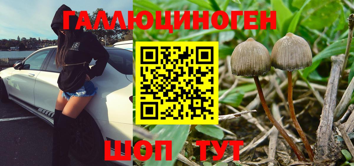 Галлюциногенные грибы Magic Shrooms Черногорск