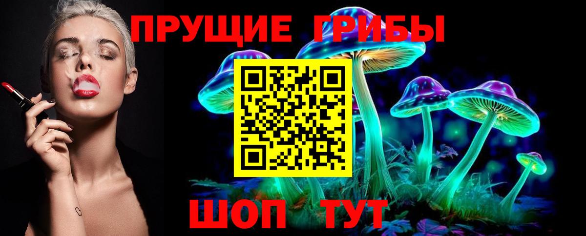 Псилоцибиновые грибы Psilocybe Черногорск